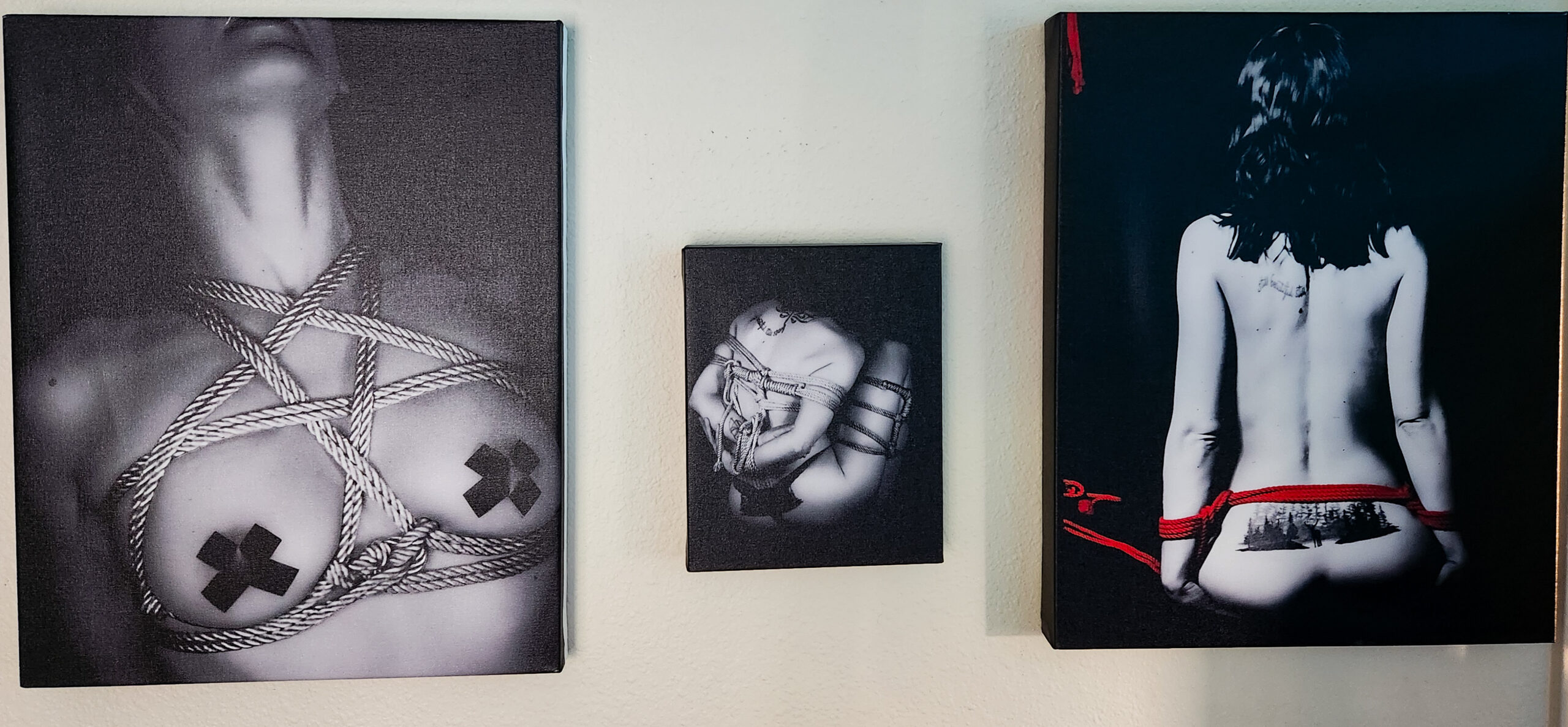 An image showing three canvases, each one depicting a woman tied in shabari.